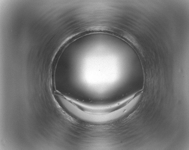 X0000065970984200603241908