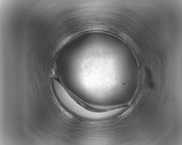 X0000065970985200603241908