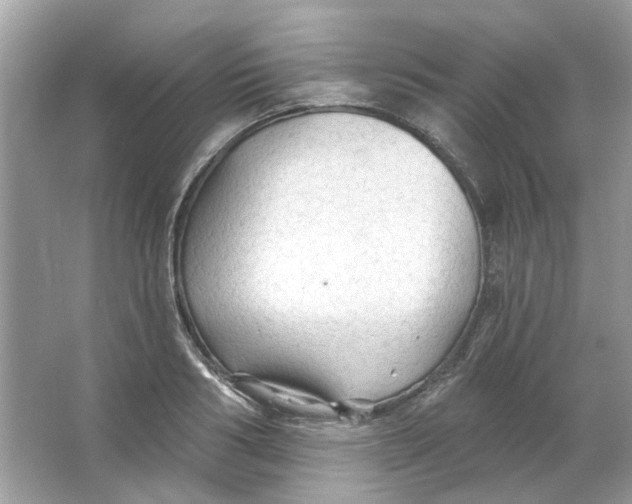 X0000065970986200603241908