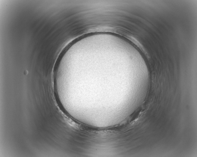 X0000065970988200603241908