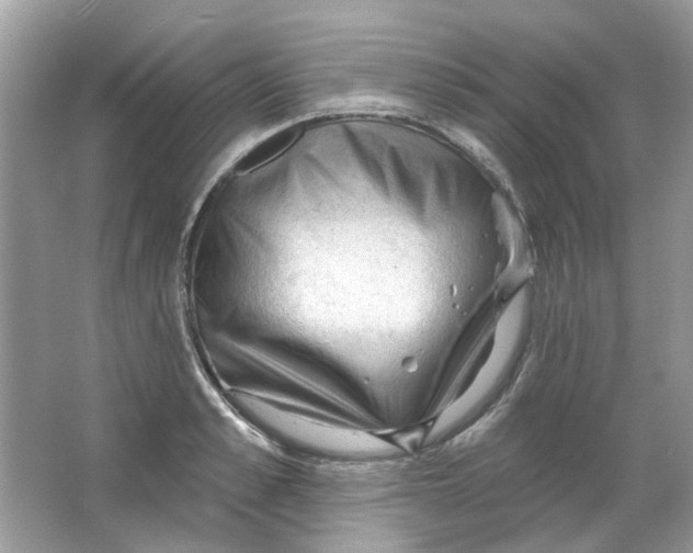 X0000065970989200603241908