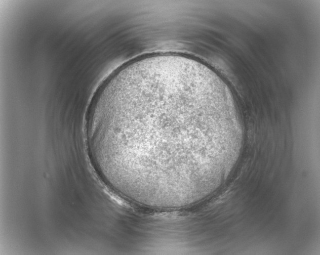 X0000065970990200603241908