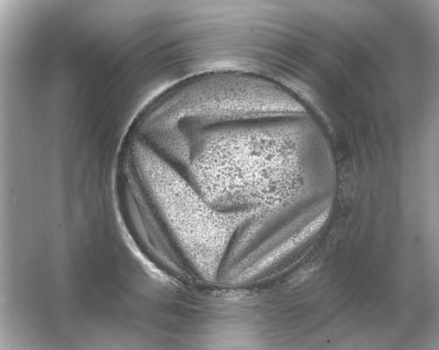 X0000065970991200603241908