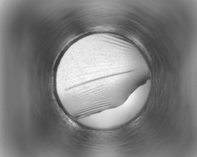 X0000065970992200603241908