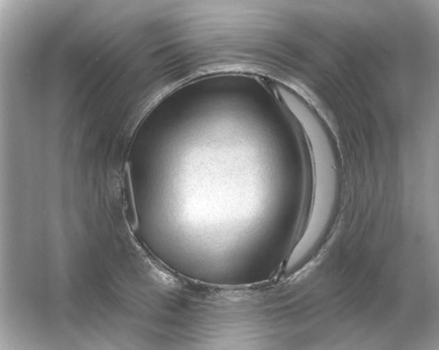 X0000065970993200603241908