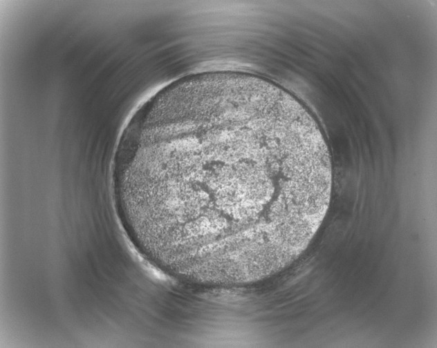 X0000065970995200603241908