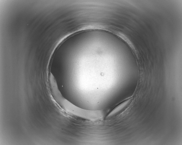 X0000065970996200603241908