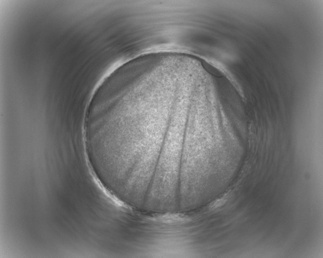 X0000065970998200603241908