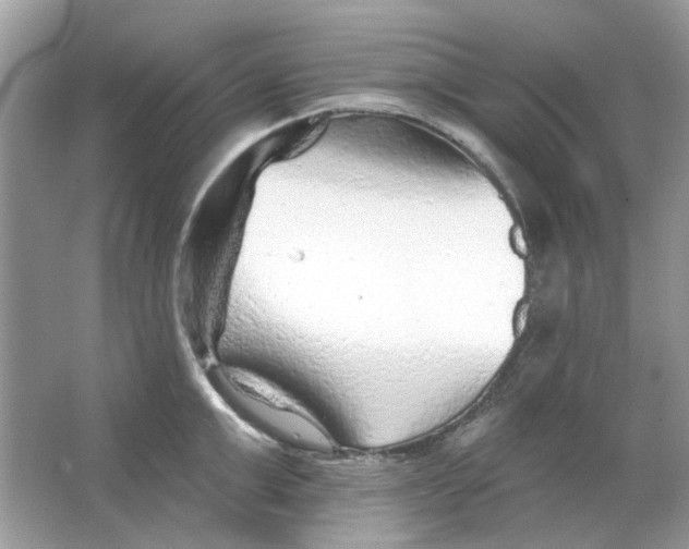 X0000065970999200603241908