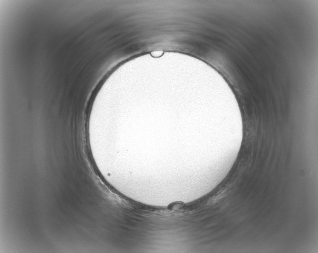 X0000065971000200603241908