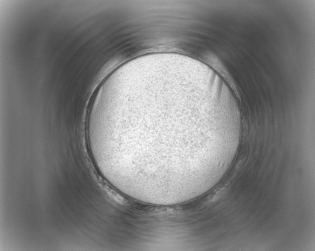 X0000065971002200603241908