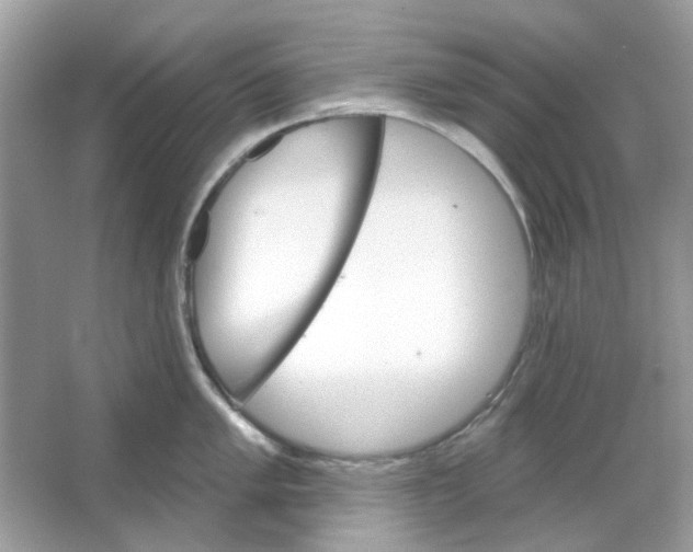 X0000065971005200603241908