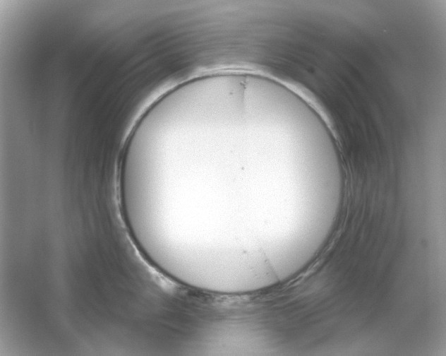 X0000065971006200603241908