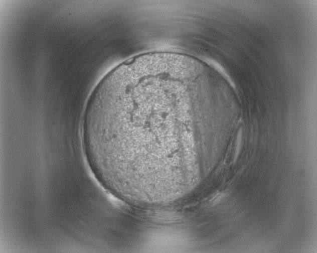 X0000065971007200603241908