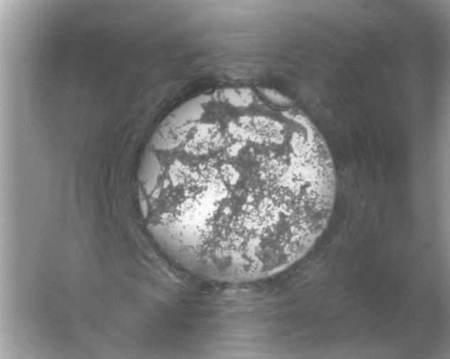 X0000065971009200603241907