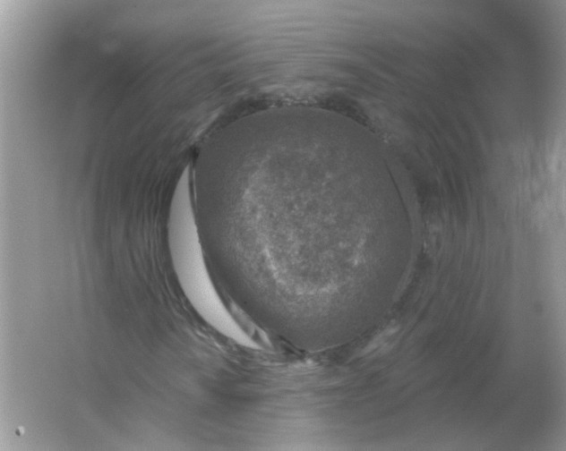 X0000065971010200603241907