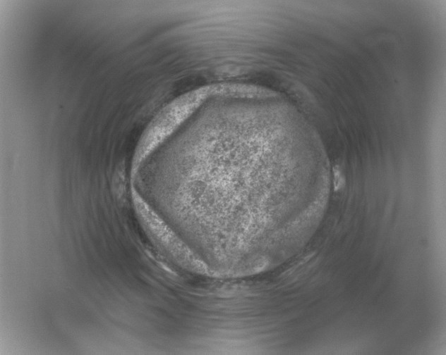 X0000065971011200603241907