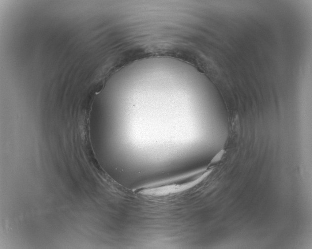 X0000065971012200603241907