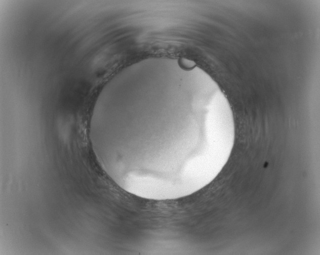 X0000065971013200603241907