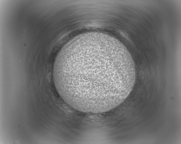 X0000065971015200603241907