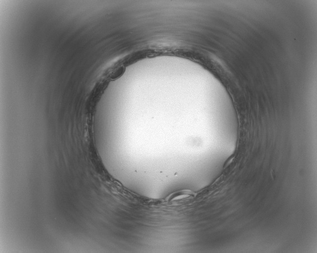 X0000065971016200603241907