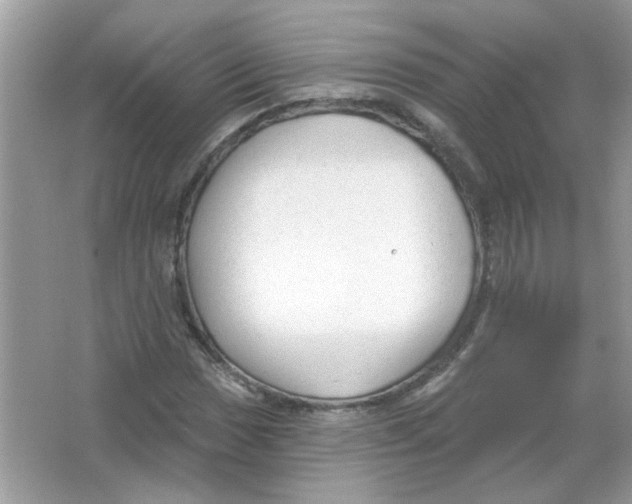 X0000065971017200603241907