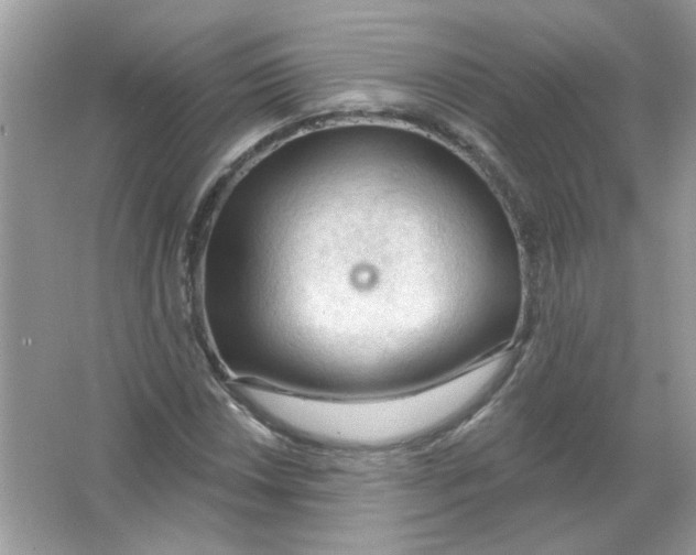 X0000065971018200603241907