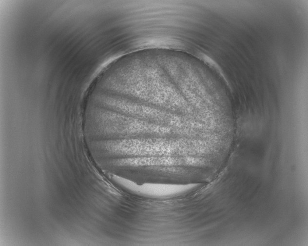 X0000065971019200603241907