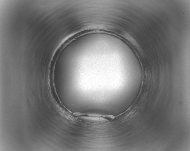 X0000065971020200603241907