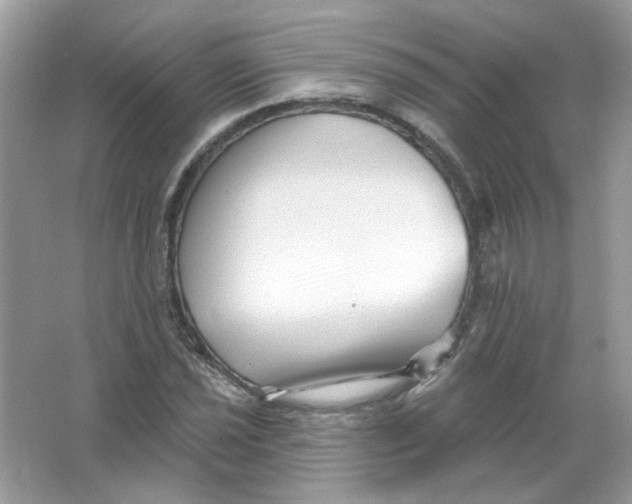 X0000065971021200603241907