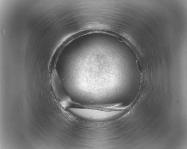 X0000065971022200603241908