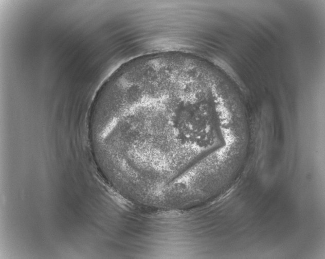 X0000065971023200603241908