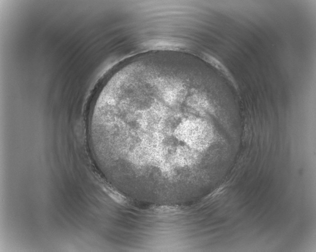 X0000065971027200603241908