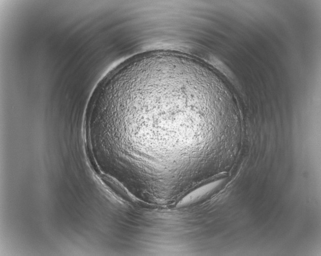 X0000065971028200603241908