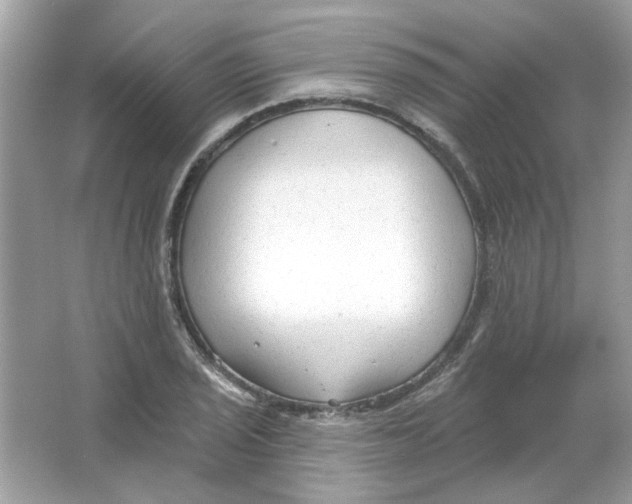 X0000065971029200603241908