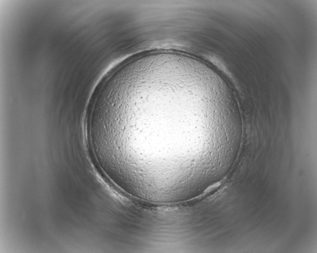 X0000065971032200603241908