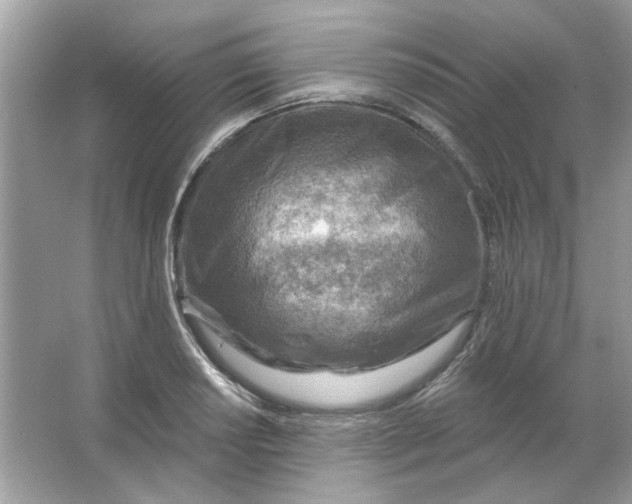 X0000065971034200603241908