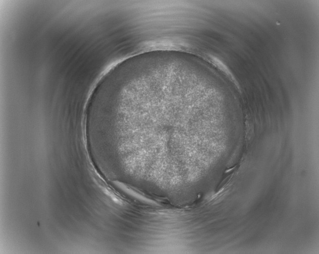 X0000065971035200603241908