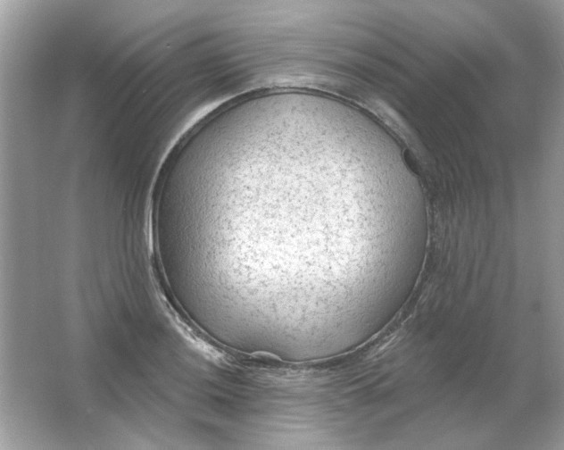 X0000065971036200603241908