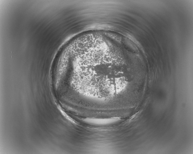 X0000065971037200603241908