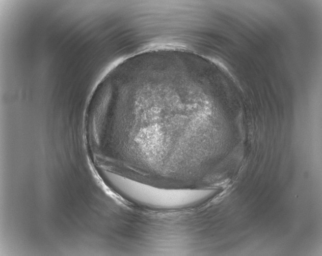 X0000065971038200603241908