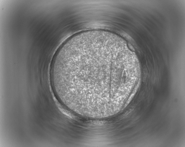 X0000065971039200603241908