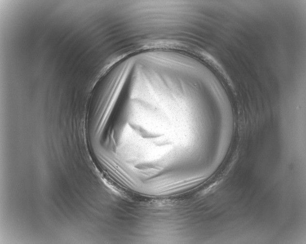 X0000065971041200603241908