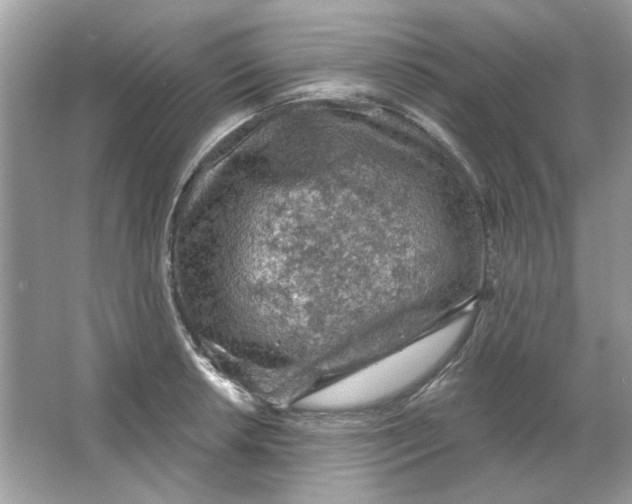 X0000065971042200603241908