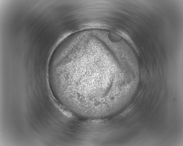 X0000065971043200603241908