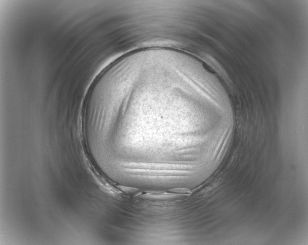 X0000065971044200603241908