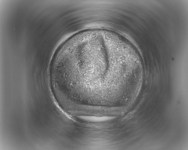 X0000065971045200603241908