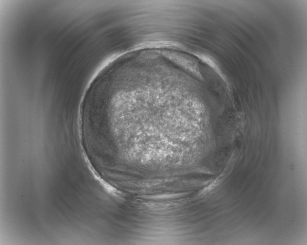 X0000065971046200603241908