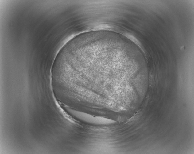 X0000065971047200603241908