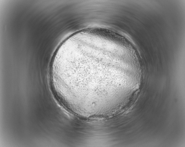 X0000065971048200603241908